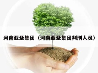 河南亚圣集团（河南亚圣集团判刑人员）