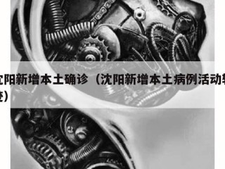 沈阳新增本土确诊（沈阳新增本土病例活动轨迹）
